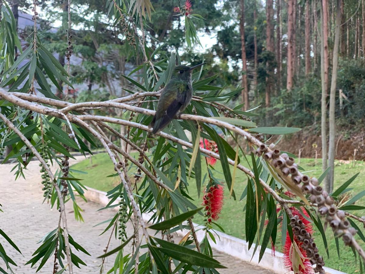 Flor De Cafe Pousada Pedra Menina Kültér fotó